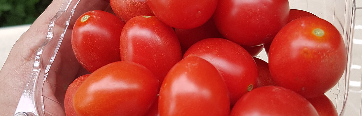 tomate_determinate_header